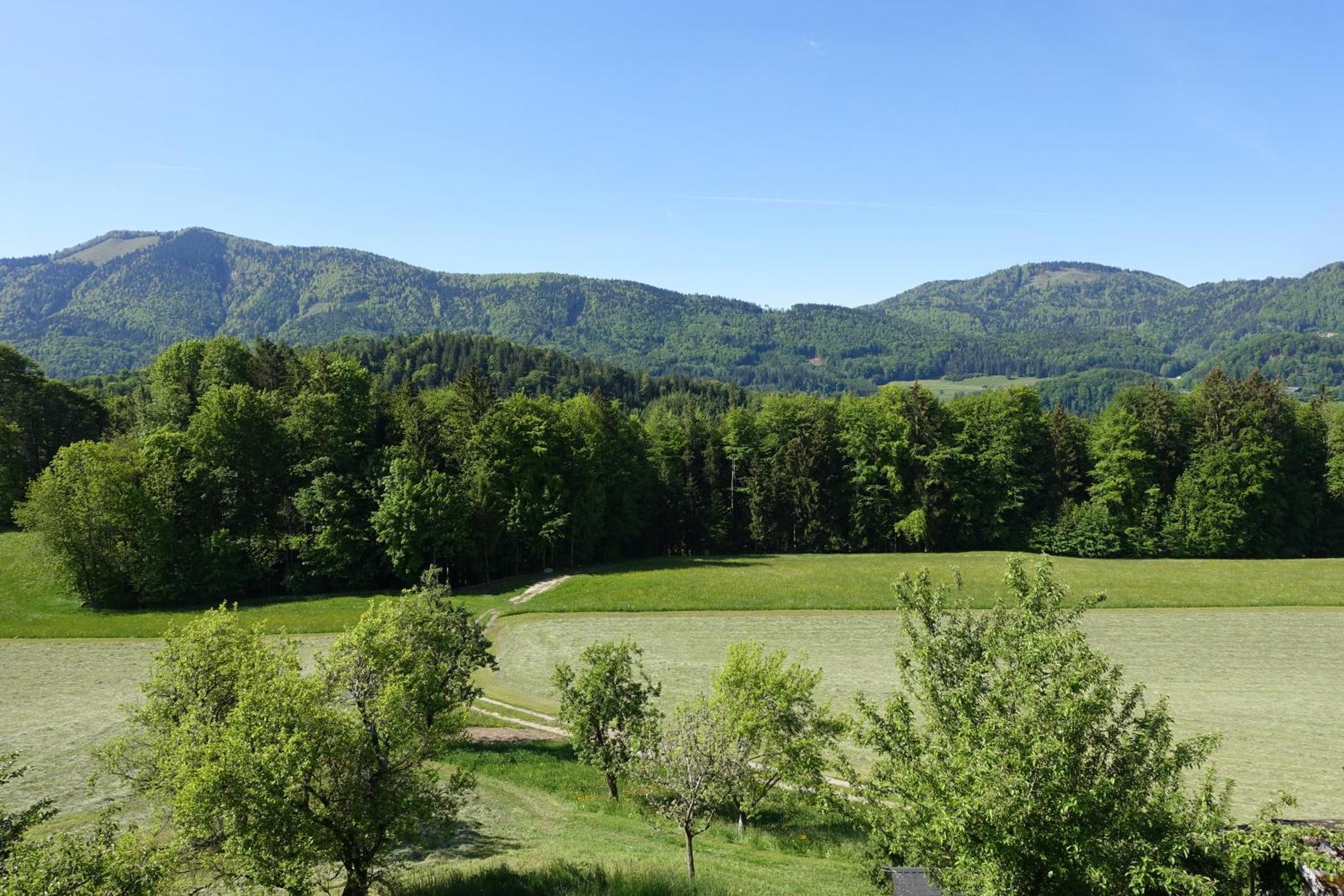 Leitingerhof Villa Thalgau Kültér fotó