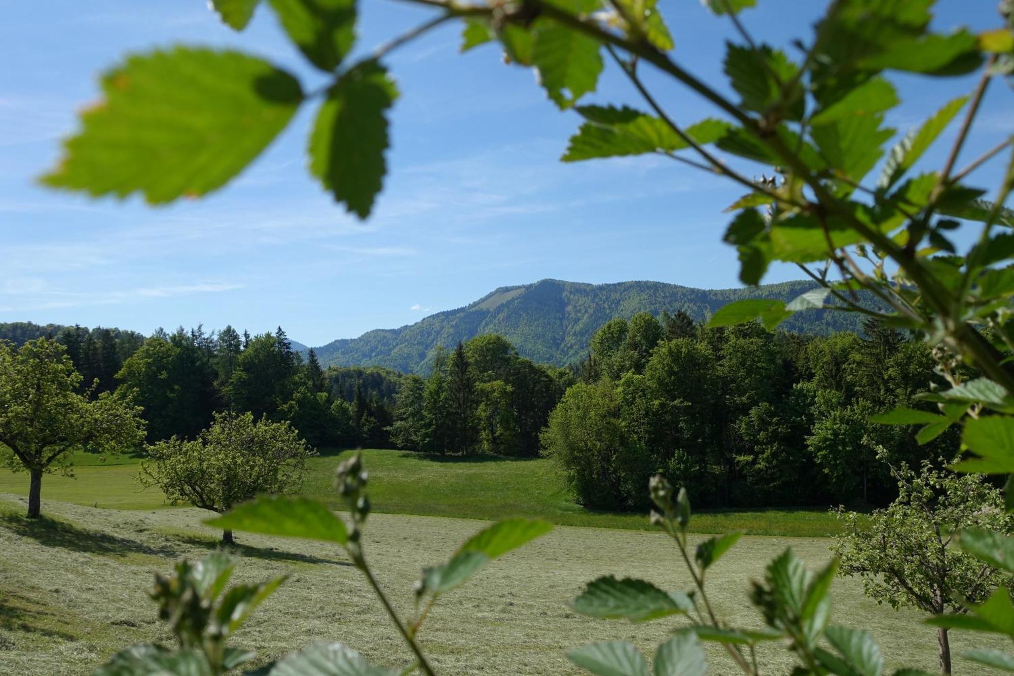 Leitingerhof Villa Thalgau Kültér fotó