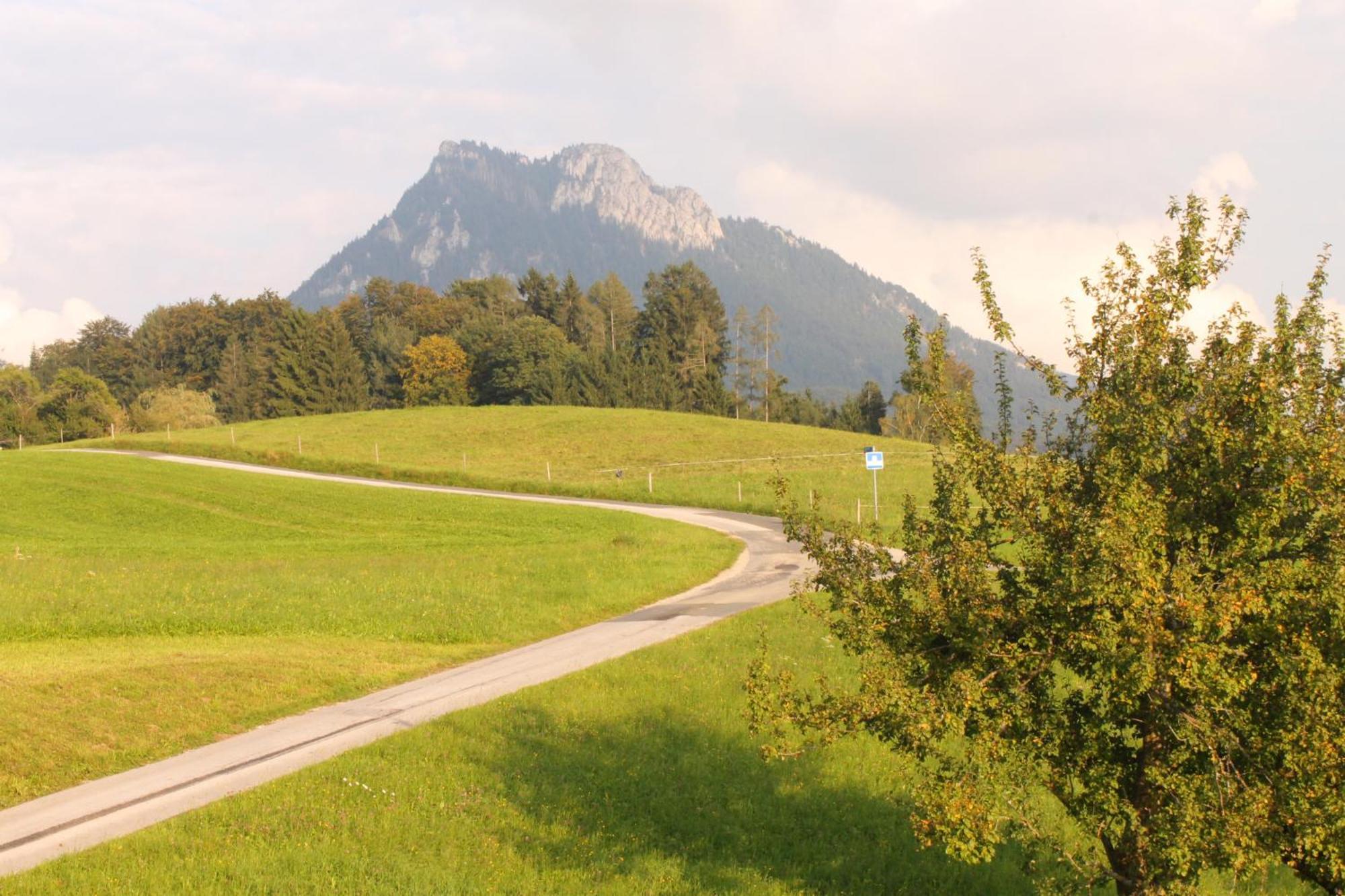 Leitingerhof Villa Thalgau Kültér fotó