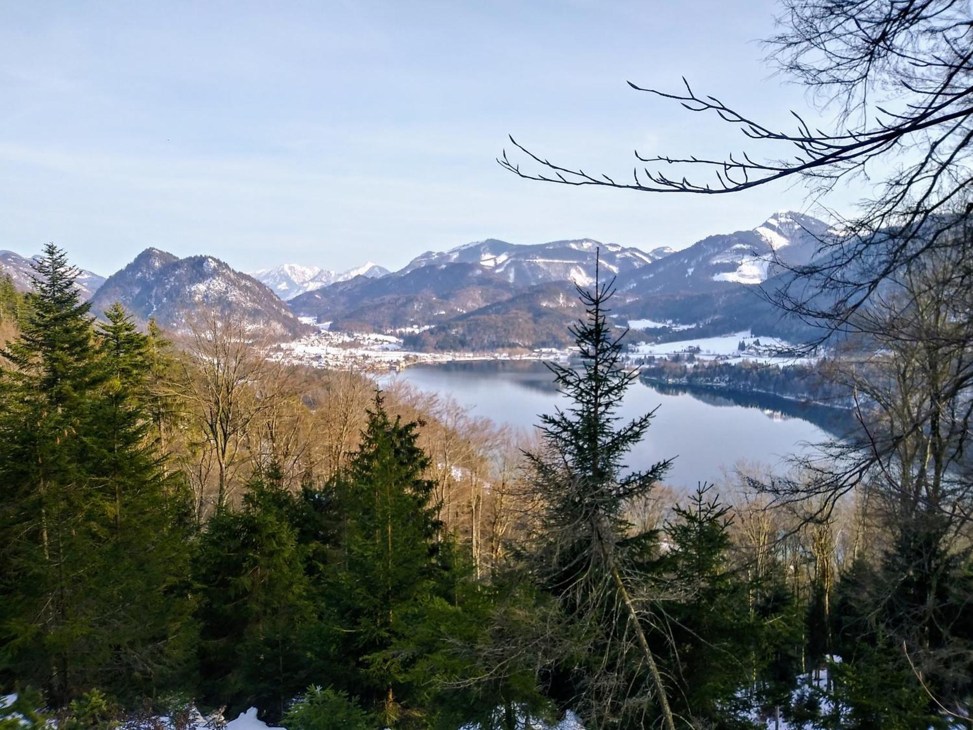 Leitingerhof Villa Thalgau Kültér fotó