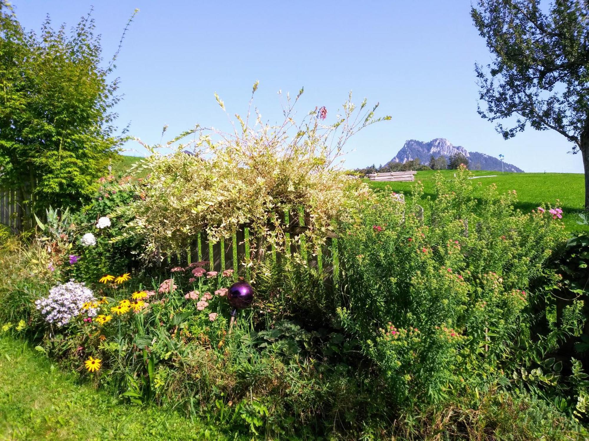 Leitingerhof Villa Thalgau Kültér fotó