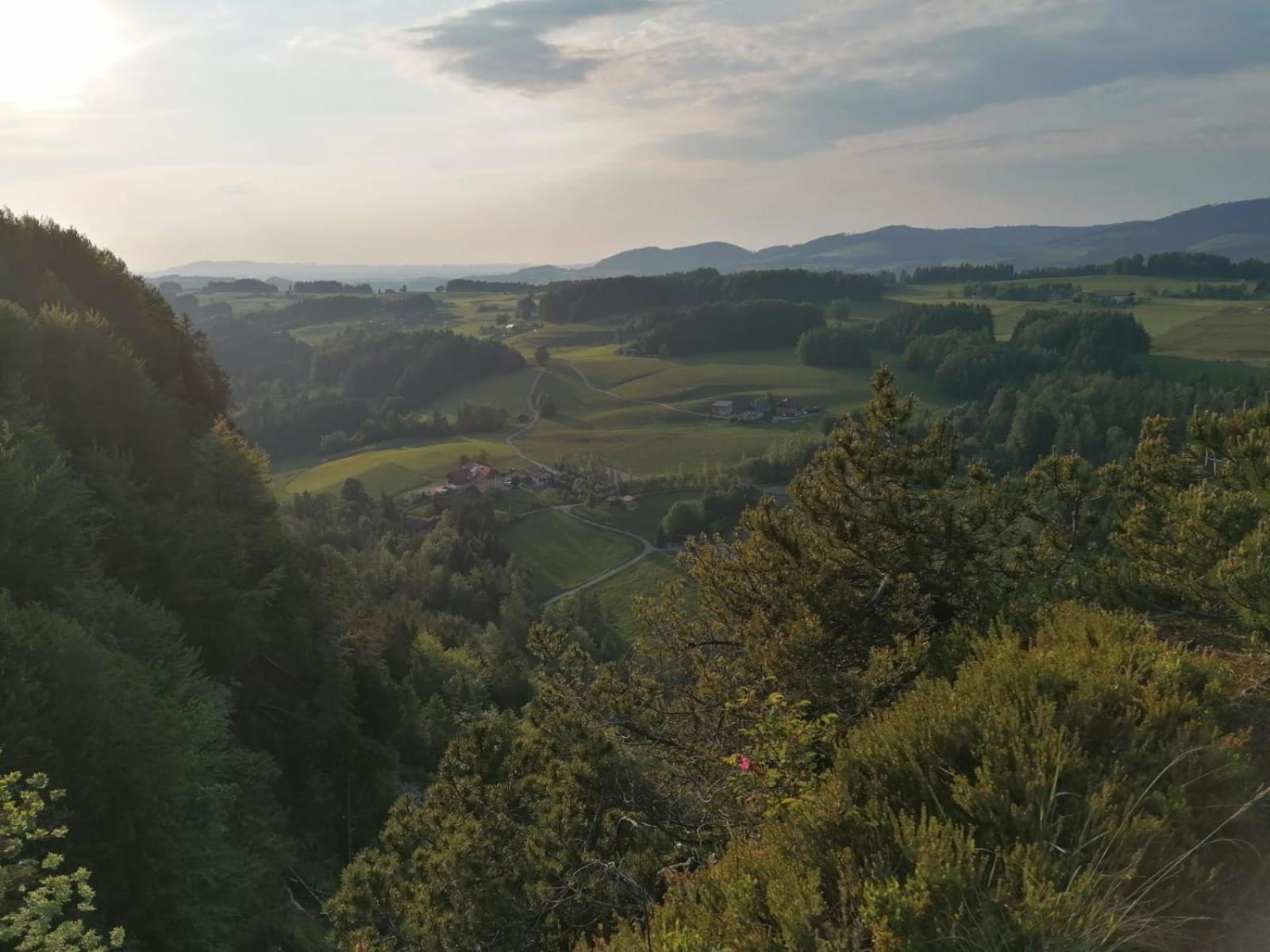 Leitingerhof Villa Thalgau Kültér fotó