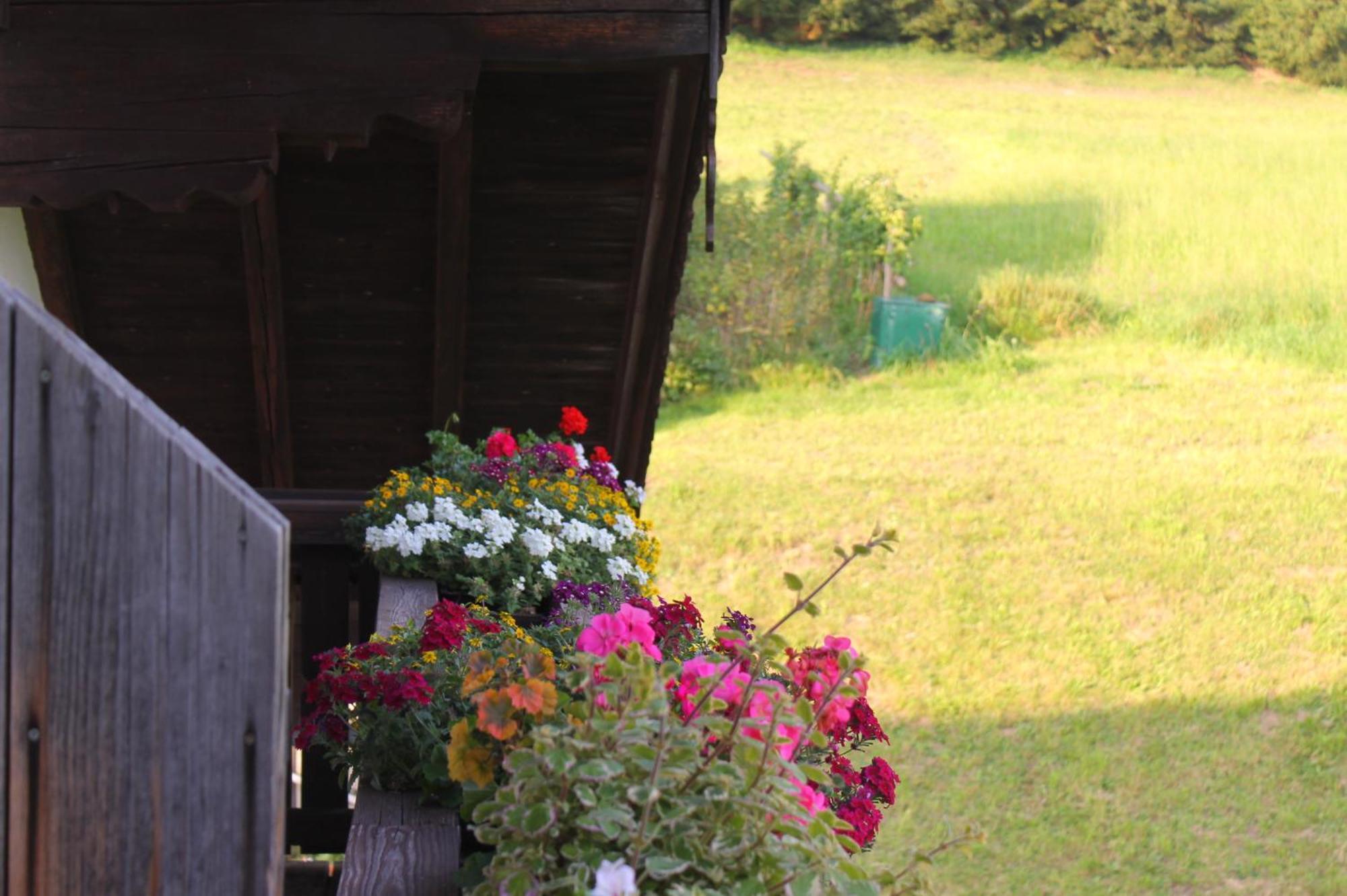 Leitingerhof Villa Thalgau Kültér fotó